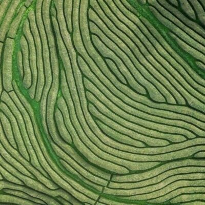 Expanding accessible library experiences at scale