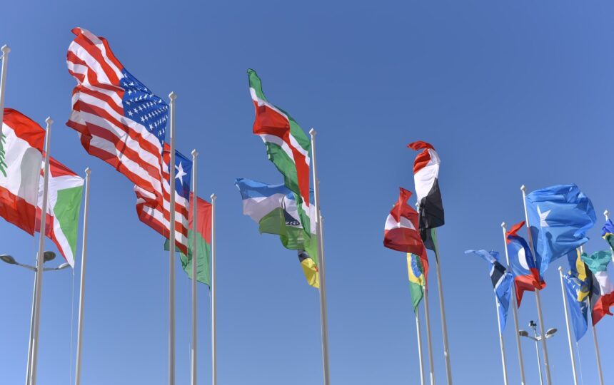 IP translations – Balancing risk against cost