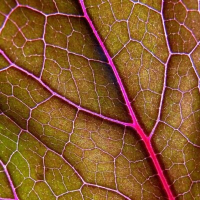 Looking back: Intellectual property highlights from 2019