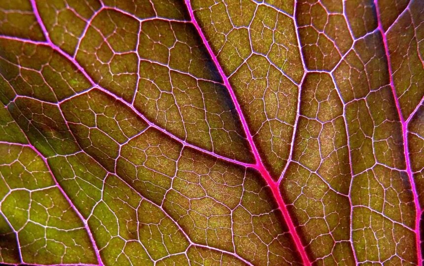 Looking back: Intellectual property highlights from 2019