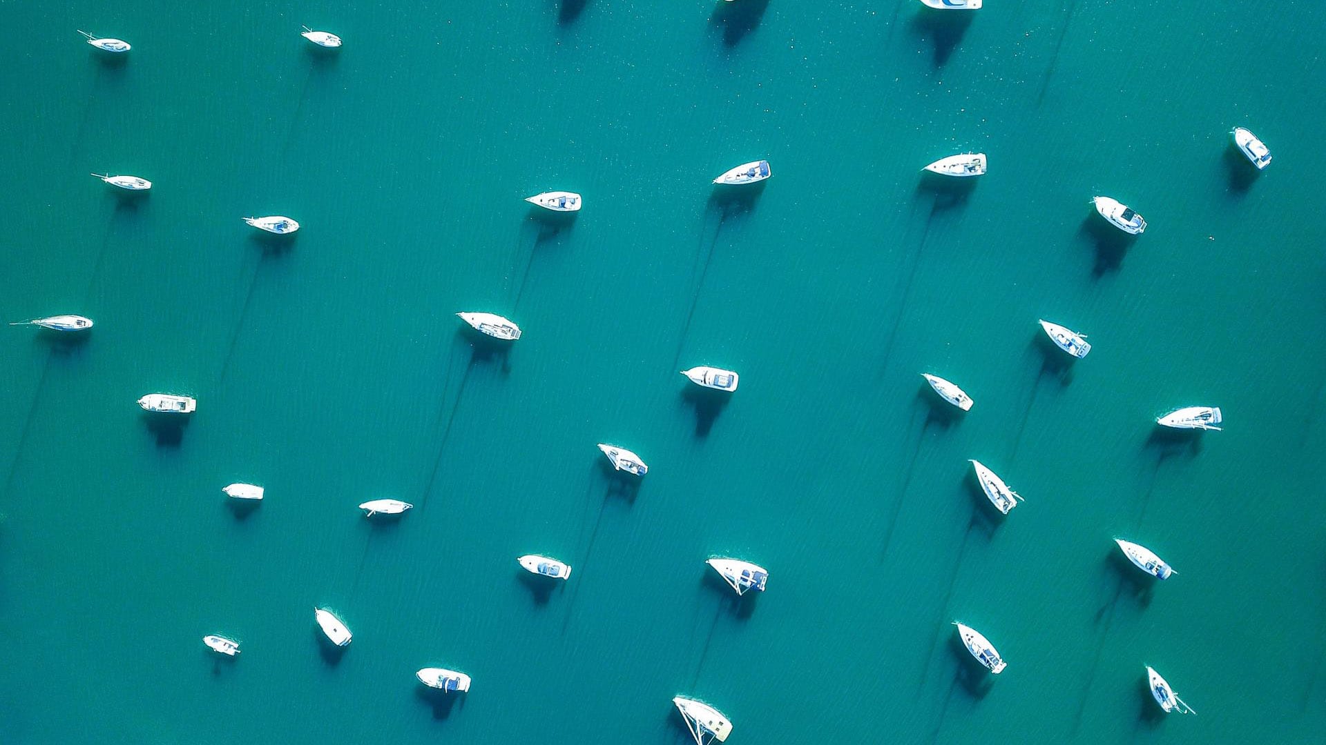 Protecting your brand with domain blocking