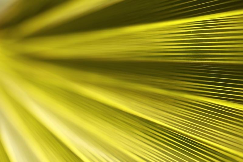 소송 데이터 Darts-ip 대쉬보드 얼리버드 프로모션(2/28까지)