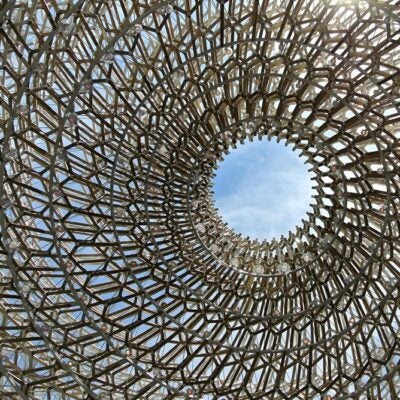 Disruption and diversity – Innovators to watch 2021