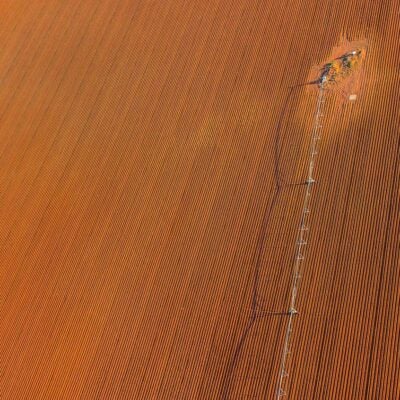 How the Web of Science enables innovation in agriculture