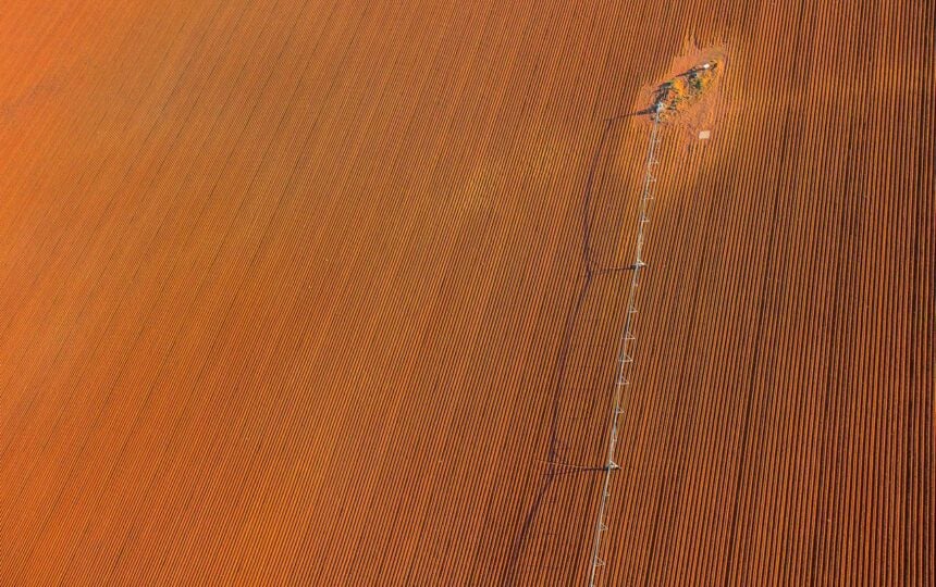 How the Web of Science enables innovation in agriculture