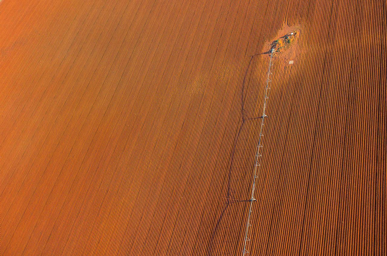 How the Web of Science enables innovation in agriculture