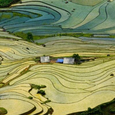 Climate innovation through an IP lens