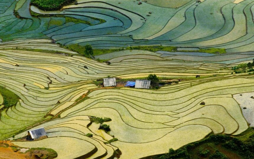 Climate innovation through an IP lens