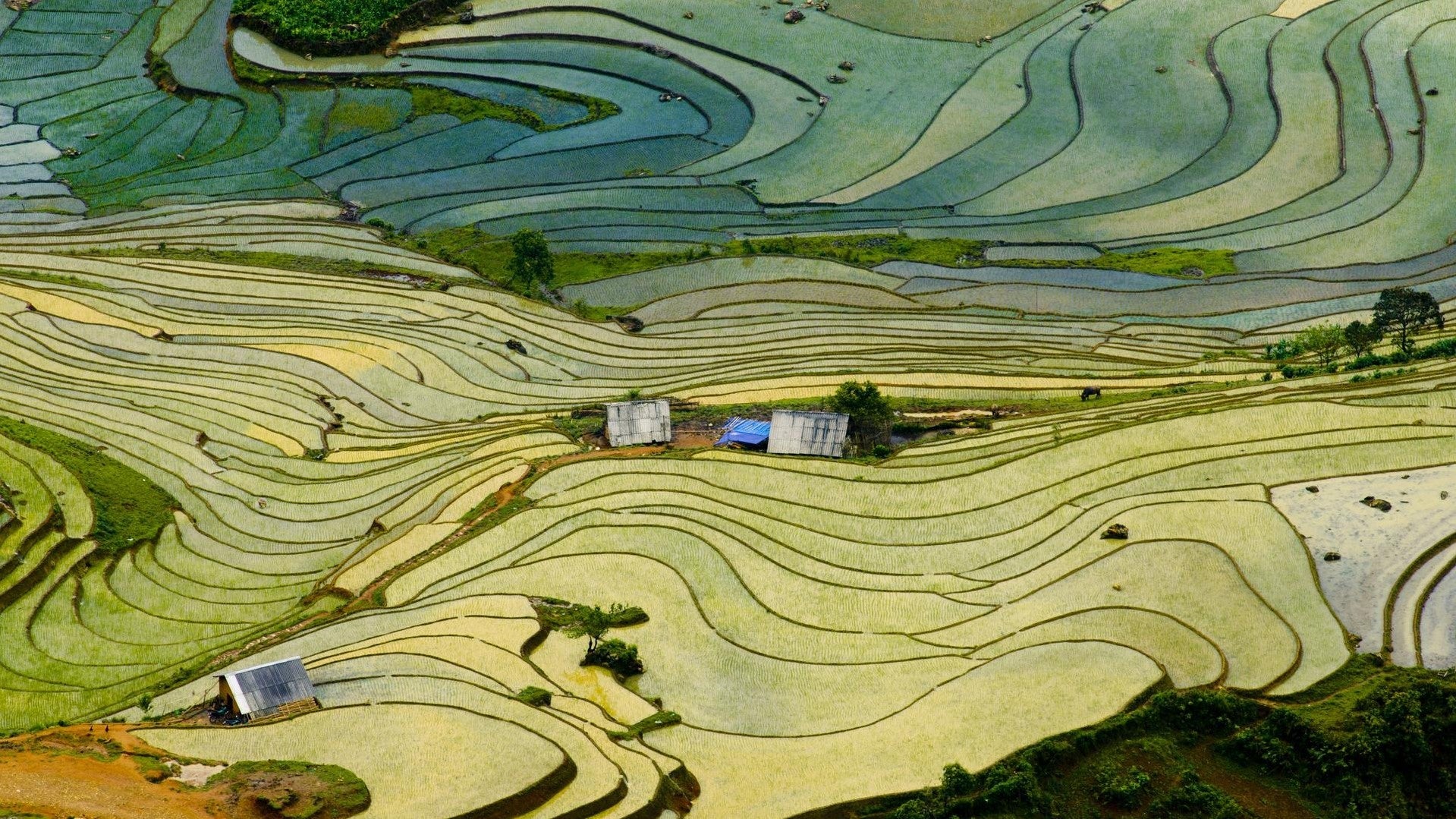 Climate innovation through an IP lens