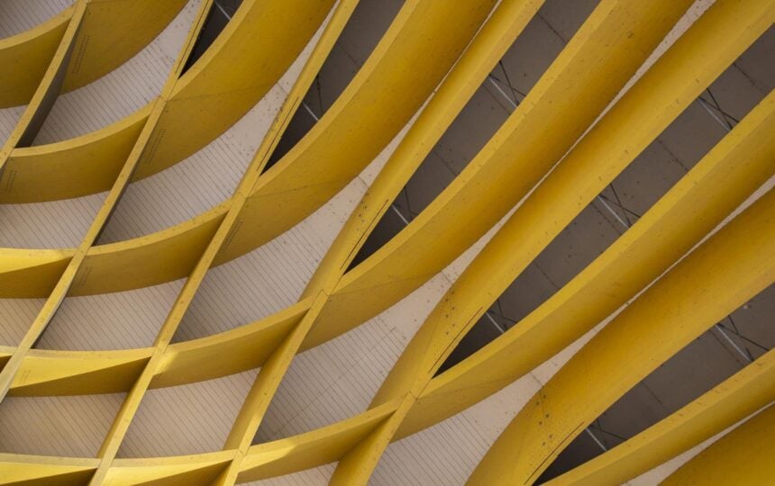 Margaret Goldstein: A 40-year journey of discovery