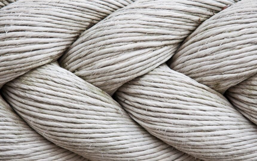 Vera Van Os: From temp to trademark maven