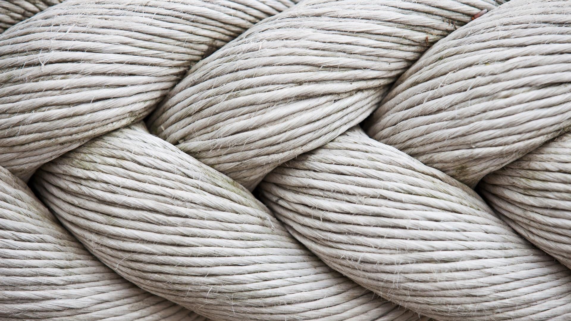 Vera Van Os: From temp to trademark maven