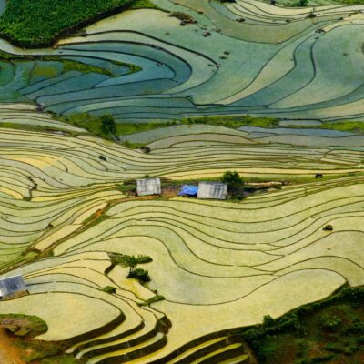 IP 정보를 통해 기후 혁신의 현재 살펴보기