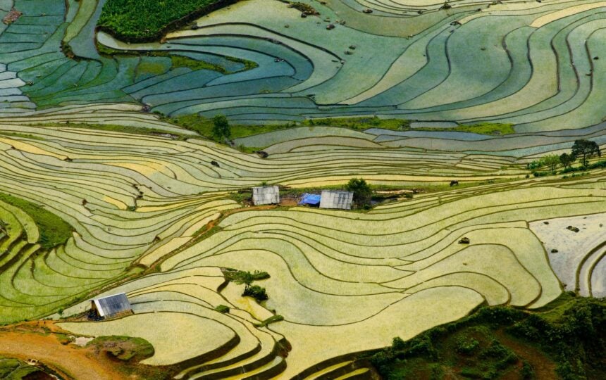 IP 정보를 통해 기후 혁신의 현재 살펴보기