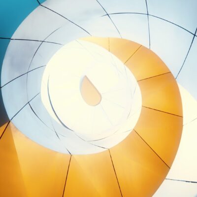 Unlocking the promise of patent renewals