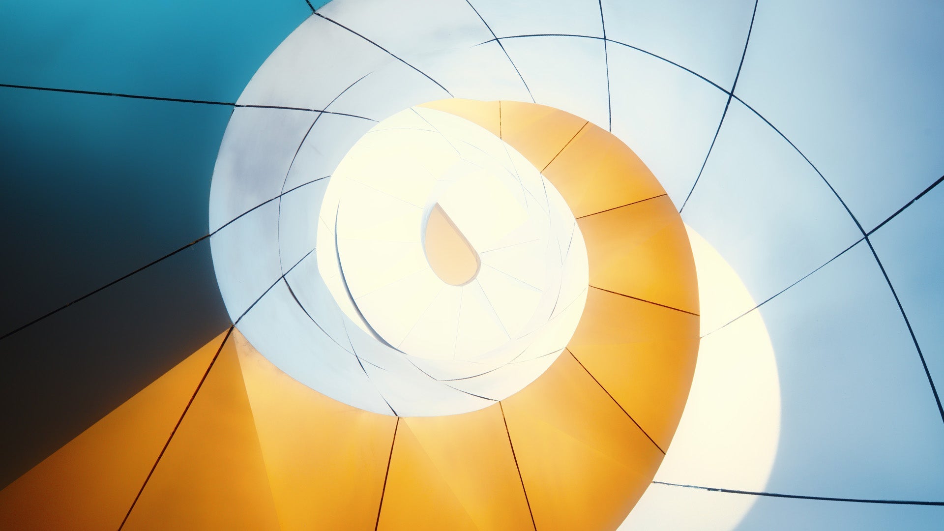 Unlocking the promise of patent renewals