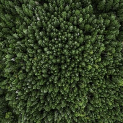 The Role of Trademarks in the Sustainability Revolution: Insights from our recent webinar