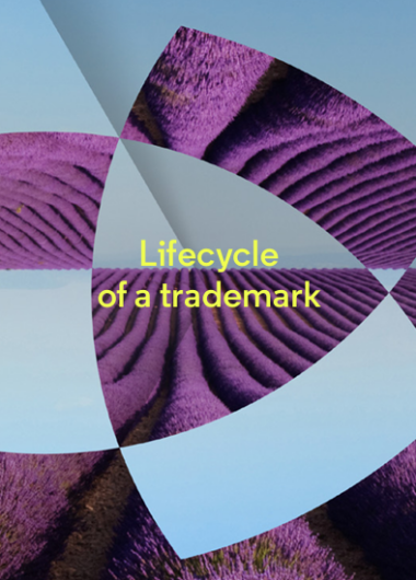 Lifecycle of a trademark: Framing the eight stages of a trademark's lifecycle