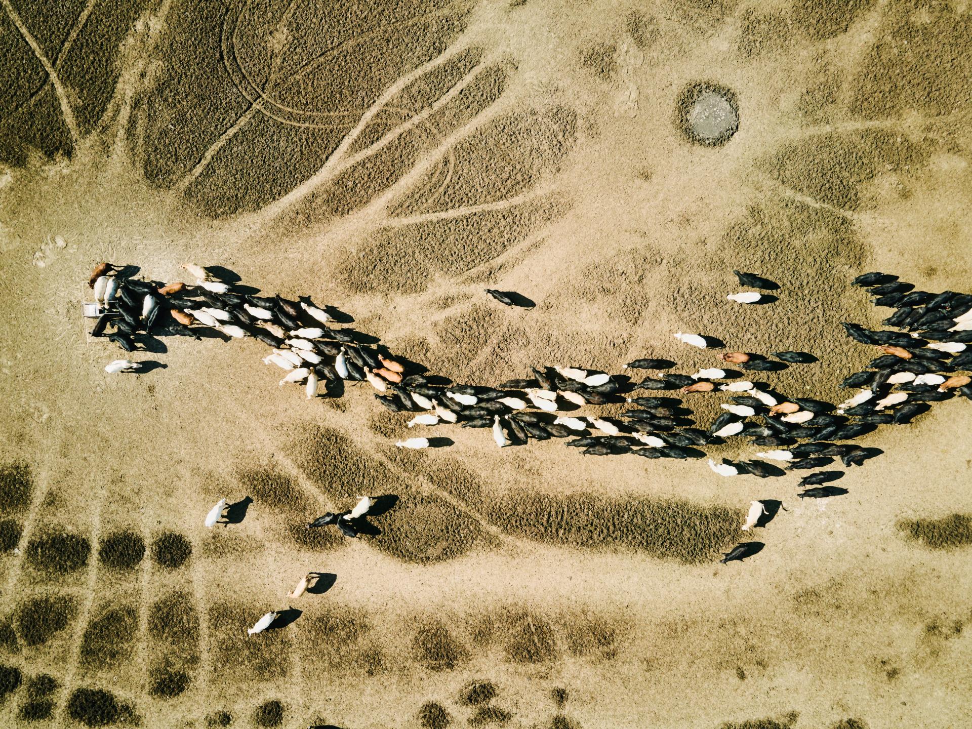 Insight or information? What trademark leaders really need from their IP management system