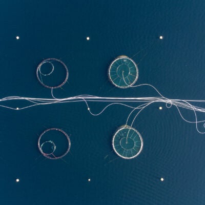 The real-world impact of AI on modern IP decision making