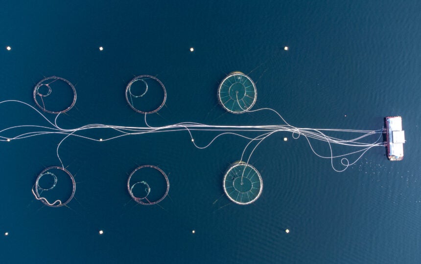 The real-world impact of AI on modern IP decision making