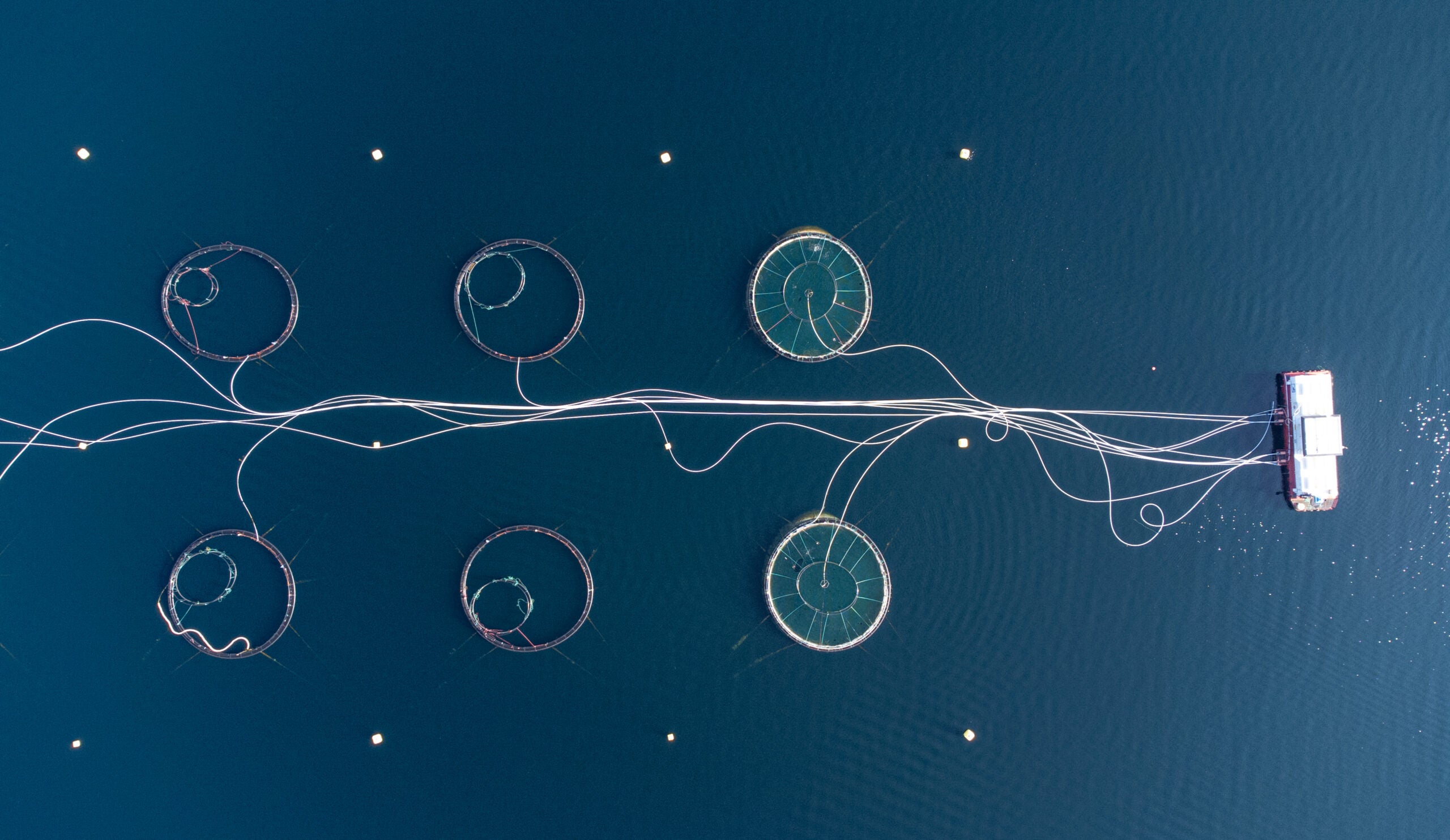 The real-world impact of AI on modern IP decision making