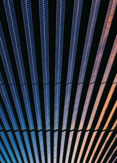 AI hallucinations in IP: How trademark teams can reduce risk with trusted data