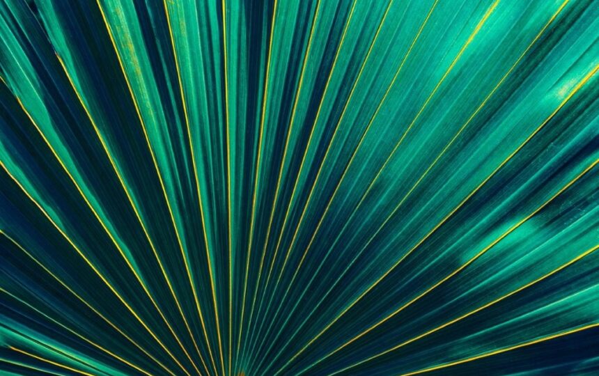 클래리베이트 Real-World Data기반의 새로운 생명과학 분석 제품 ‘DRG Fusion’출시