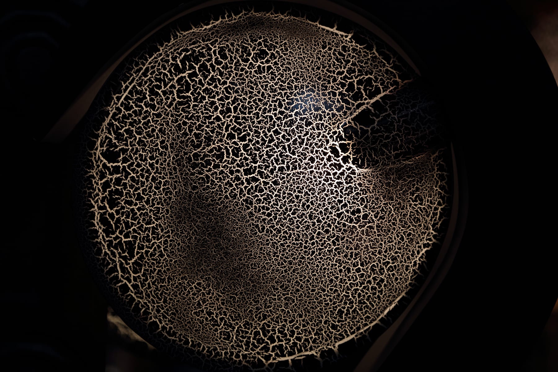 The microbiome mystery: Gaining insights through data mining and analysis