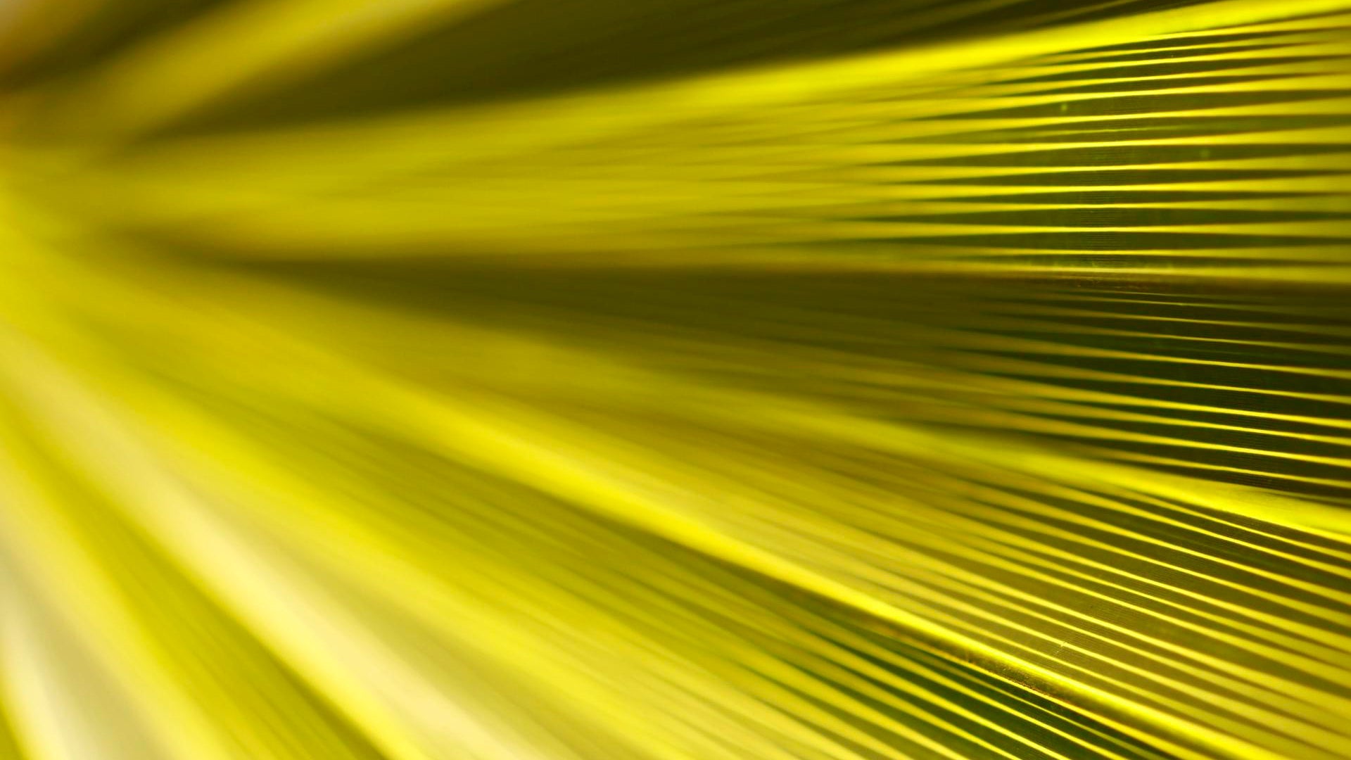 FDA unveils emergency investigational COVID-19 convalescent plasma application program