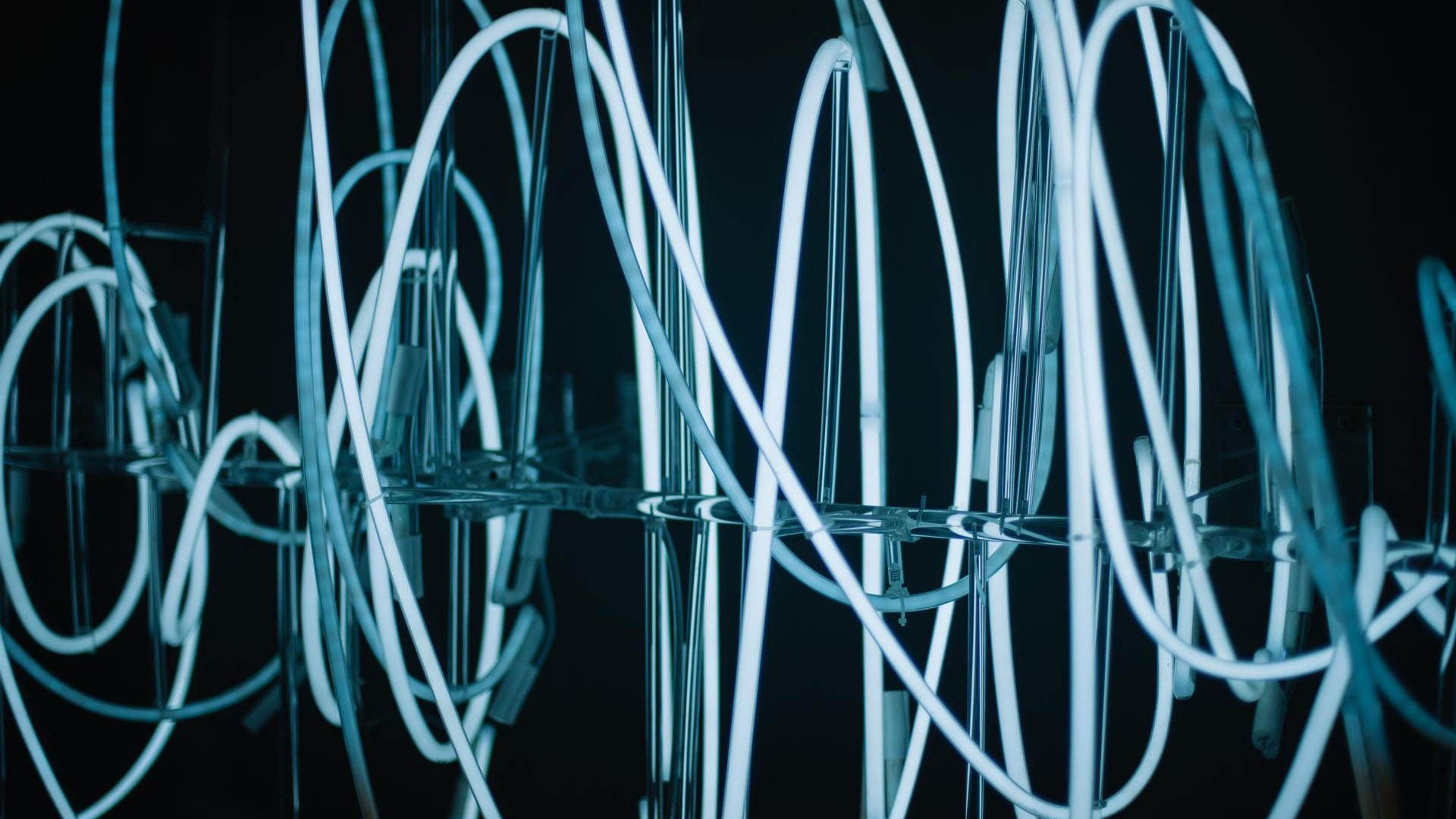 Searching for the silver lining: COVID-19 and influenza