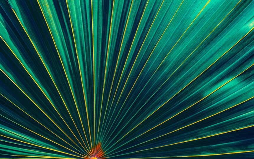 Digital pharmacies posed for growth in a post-pandemic world