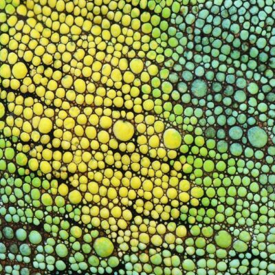 How the pandemic has impacted the Federal Health Insurance Exchange in the U.S.