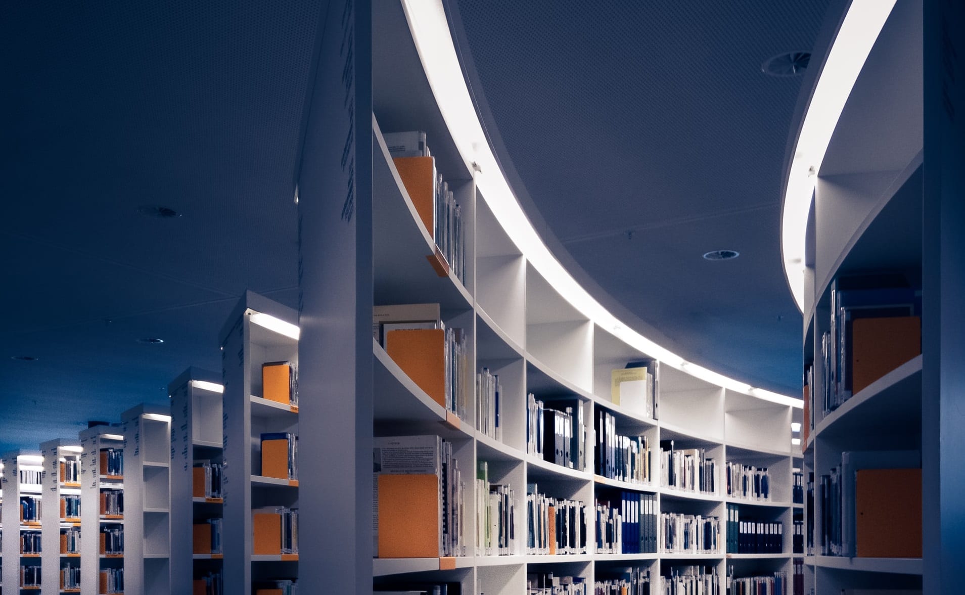 Molina’s hunt to grab small MCOs expands growth into new markets