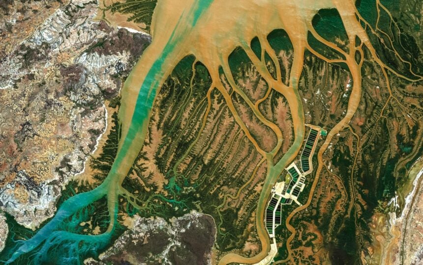 From connected pens to artificial pancreases: how innovative technology is transforming the diabetes treatment landscape