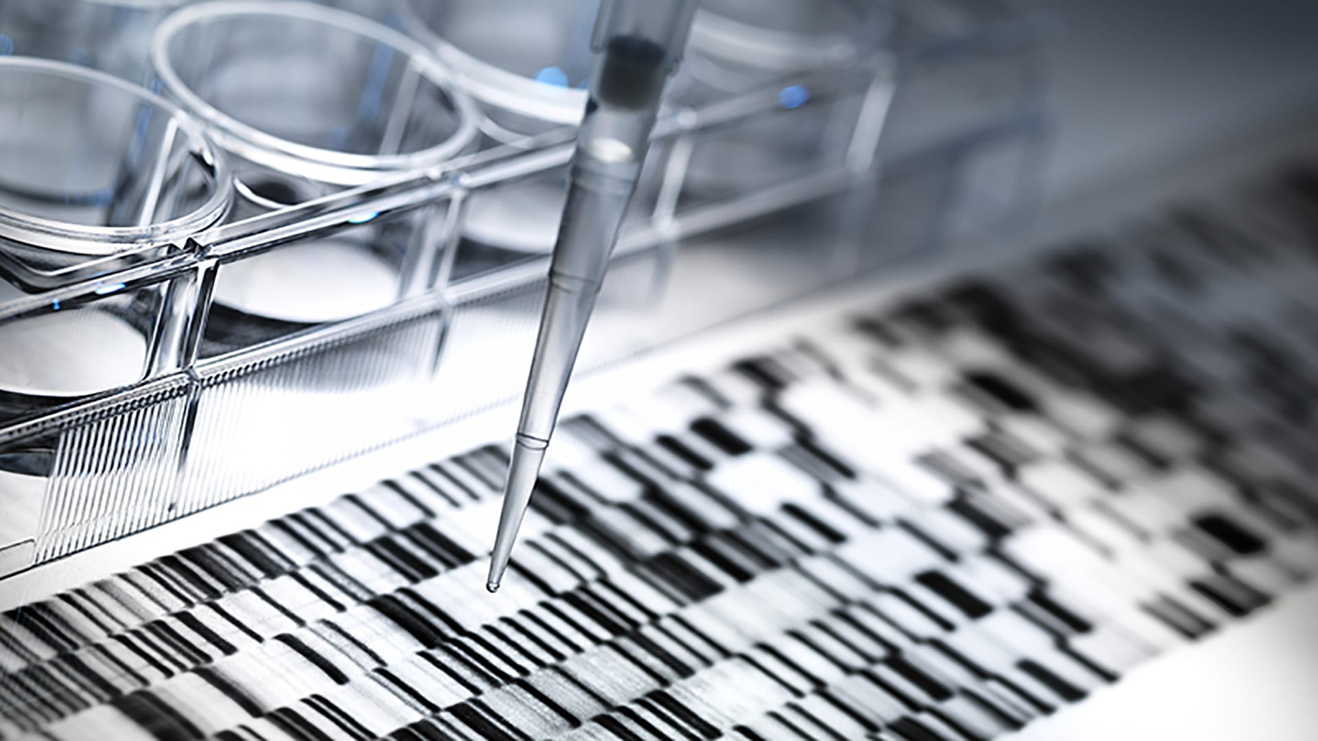 Drug development challenge: Managing CMC submissions