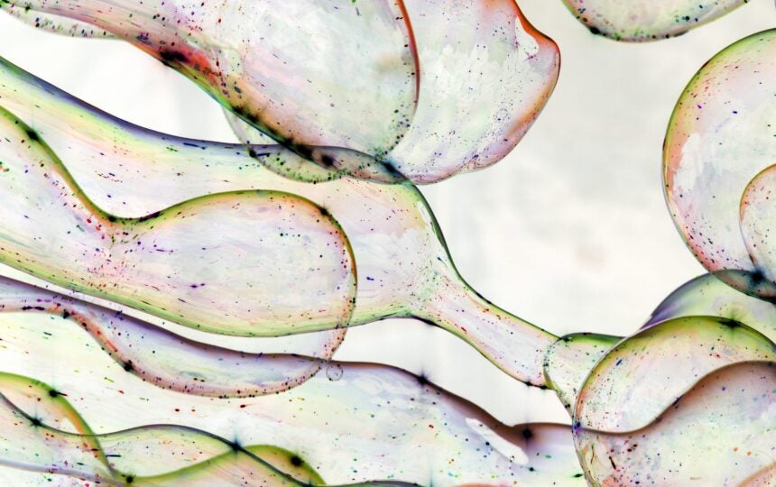 コロナウイルスに関する世界中の研究と最新情報を提供