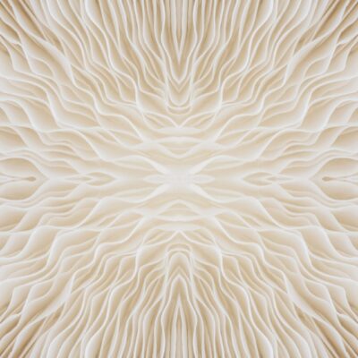 11個潛在的重磅藥物迎來希望，同時面臨支付意願的挑戰