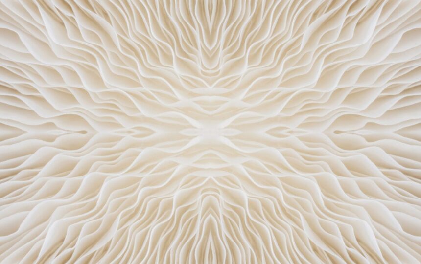 11個潛在的重磅藥物迎來希望，同時面臨支付意願的挑戰