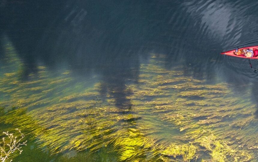 中國醫療科技的挑戰與目標