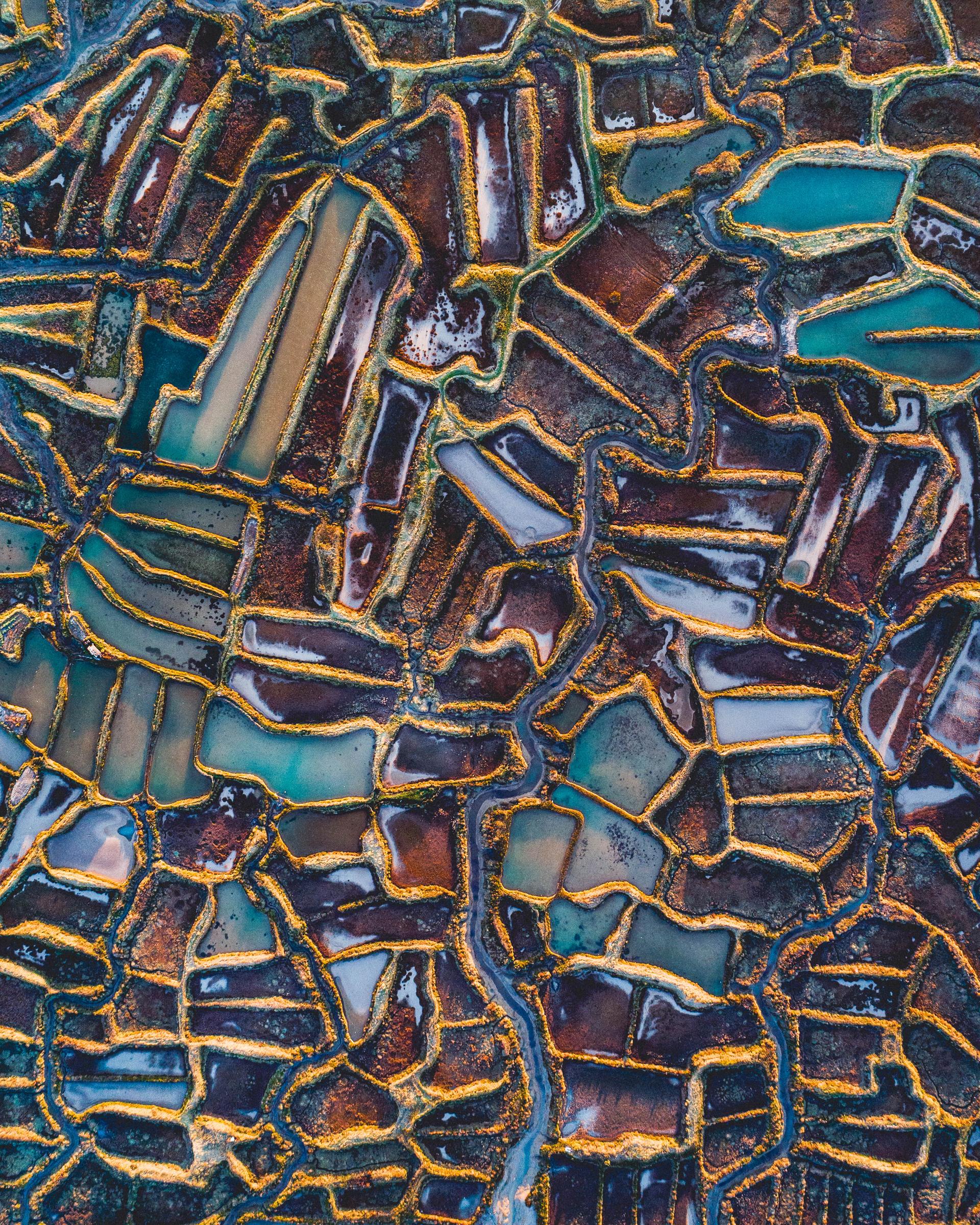 中国本土におけるボリュームベースでの調達: 主要なトレンドと将来の戦略立案