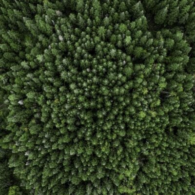 Guided by science to accelerate innovation