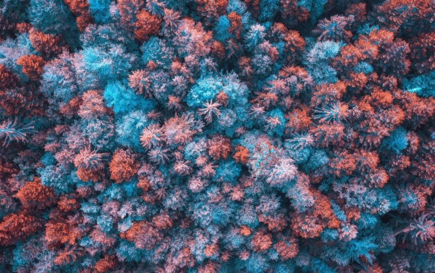 2019 trends in regulatory approvals of new medicines