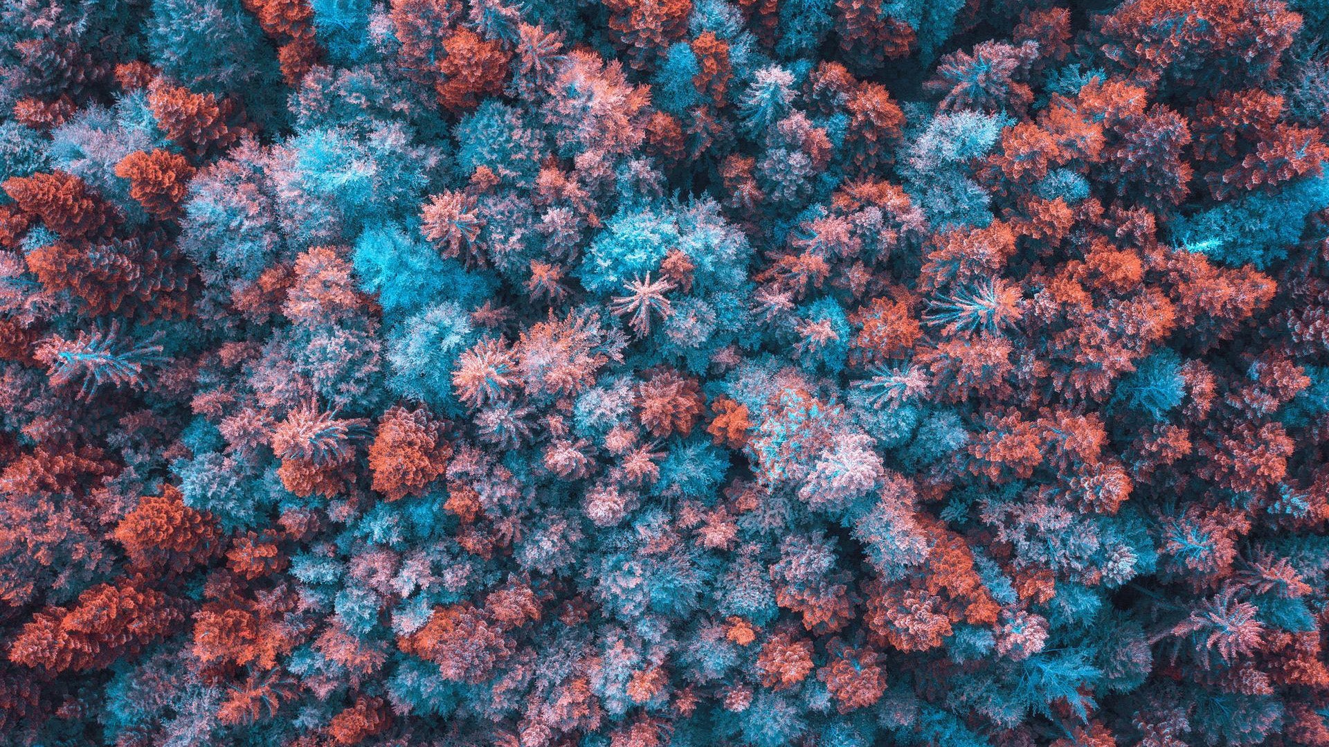 2019 trends in regulatory approvals of new medicines