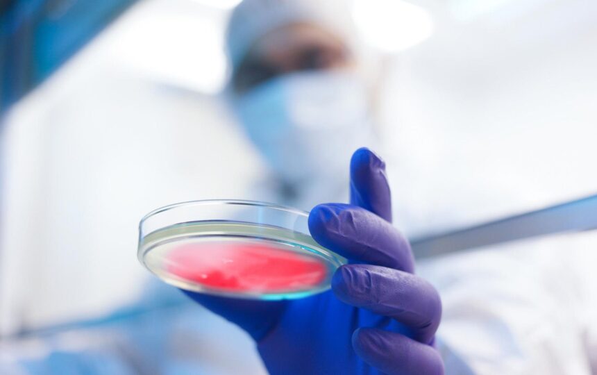 Innovative cardiovascular treatments: Top pharmacotherapy breakthroughs at AHA21