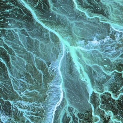 Antibody drug conjugates and bispecifics seize the spotlight at ASCO 2022