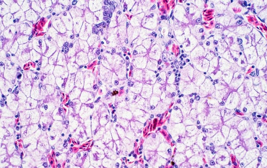 罕見病藥物的挑戰與機會