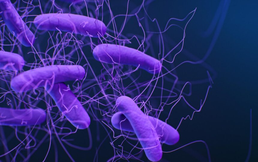 “조기 실패” 접근 방식을 통해 임상시험을 성공으로 이끄는 방법