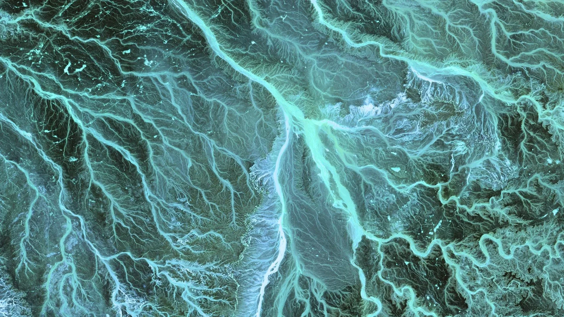 最值得關注的腫瘤藥物