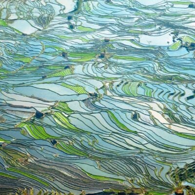 중국- 규제진화를 통해 신약접근을 큰 폭으로 개선